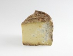 Cheeses of the world - Bleu de Termignon